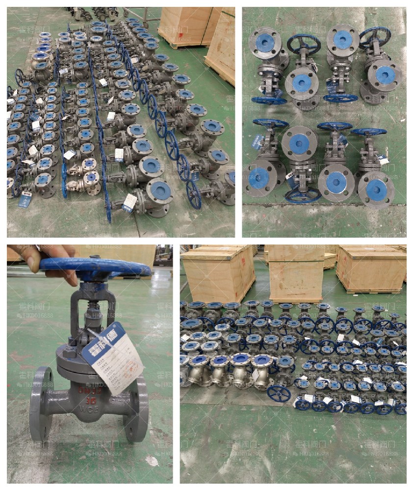 河南省安陽(yáng)縣樂豐石化加油站西北500米河南順聚項(xiàng)目.jpg
